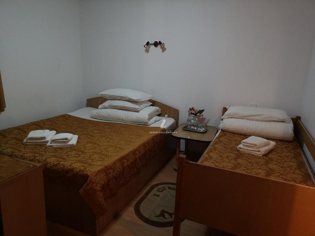 Cabana Alexandru Villa Busteni Luaran gambar